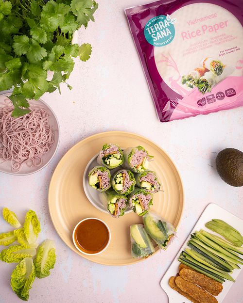 Vietnamese spring rolls with tempeh