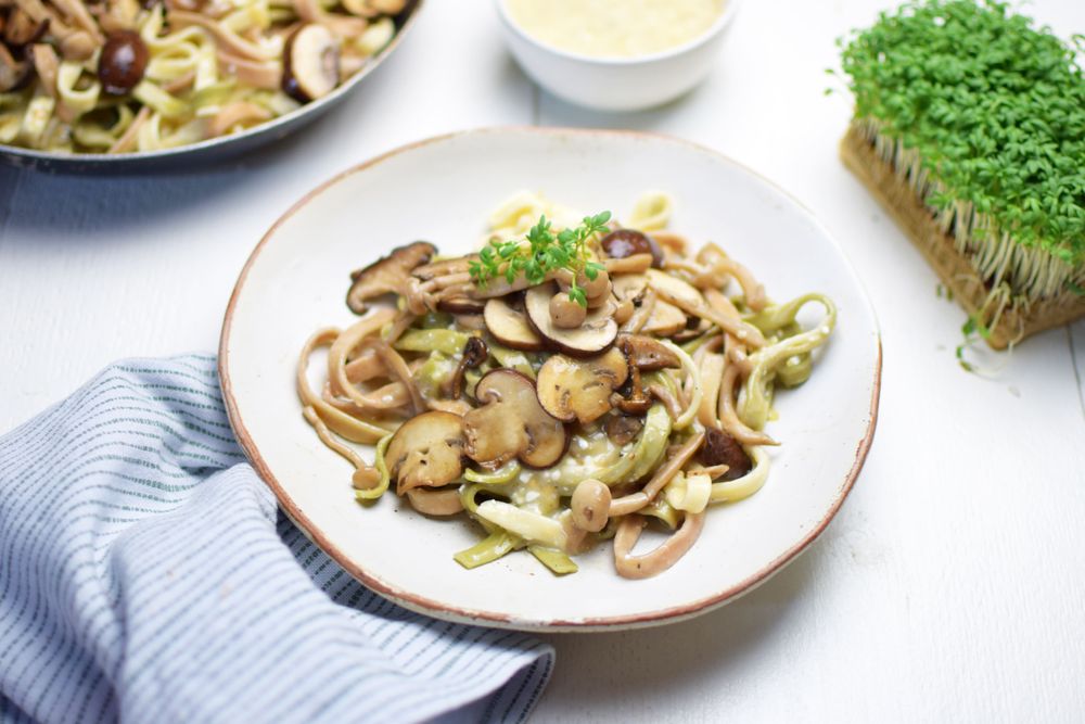 Pasta met paddenstoelen en vegan kaassaus | Terrasana Positive Eating